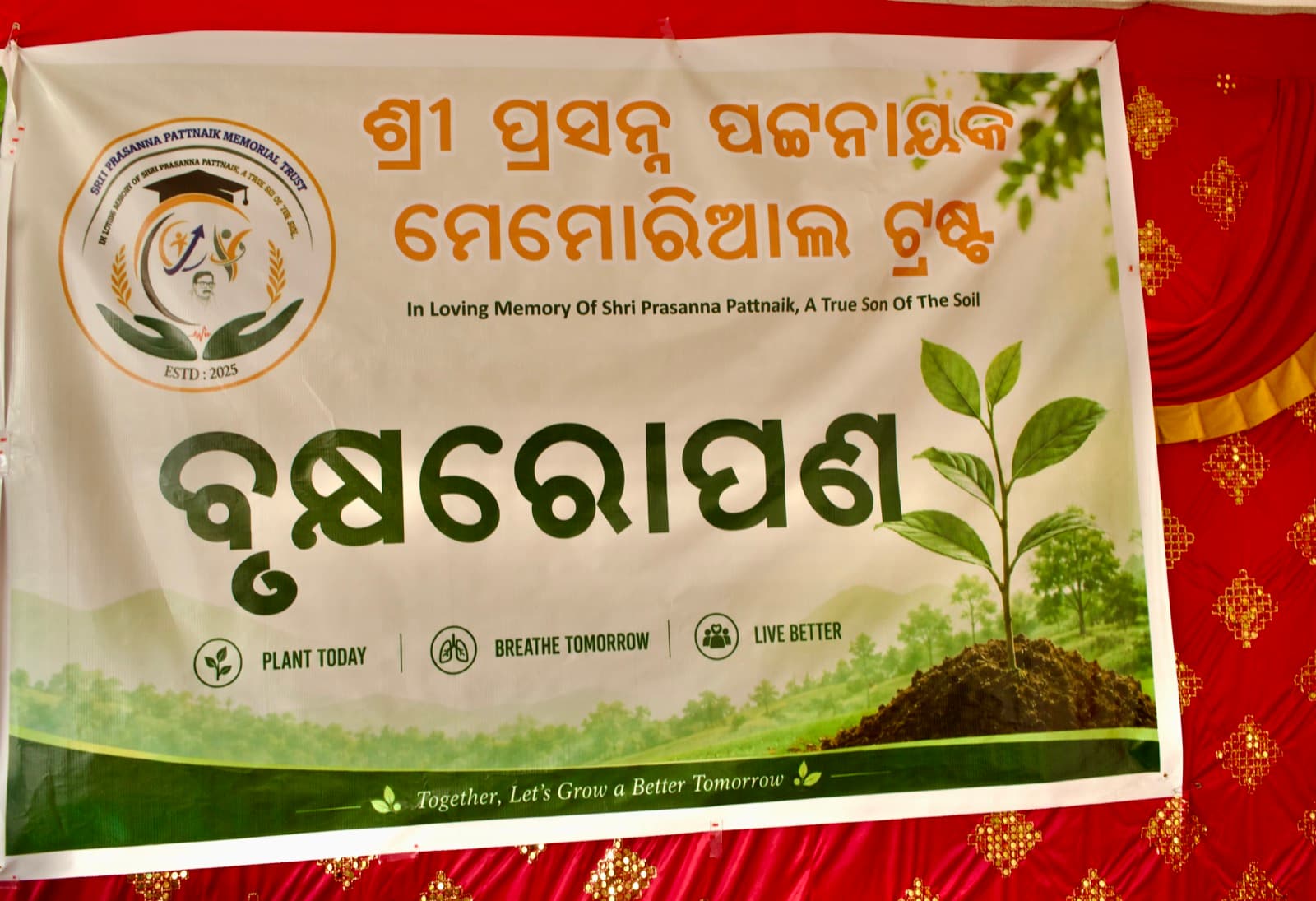 Tree plantation activity