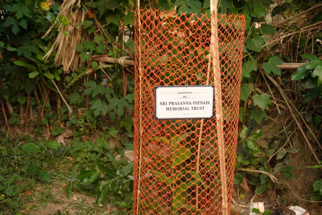 Sapling donated by Sri Prasanna Pattnaik Memorial Trust
