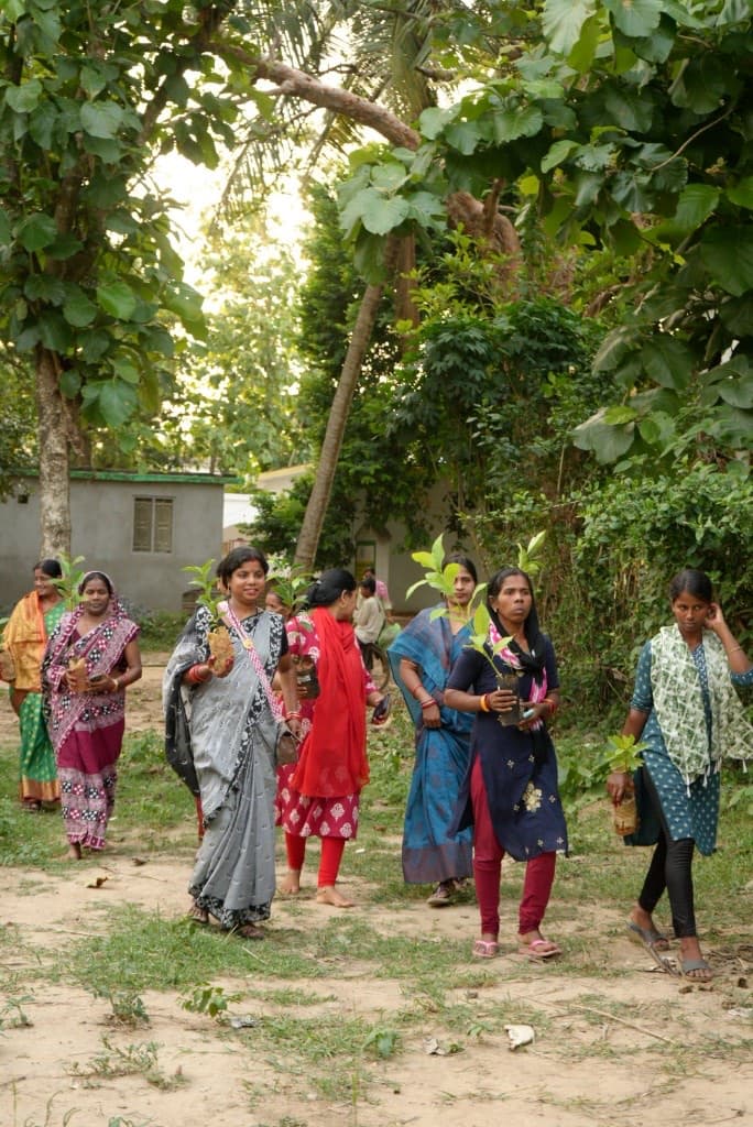 Women carrying saplings for a tree plantation drive